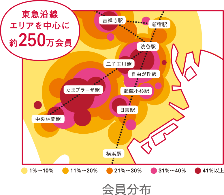 会員分布