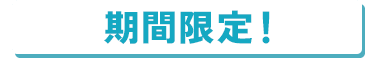 期間限定！