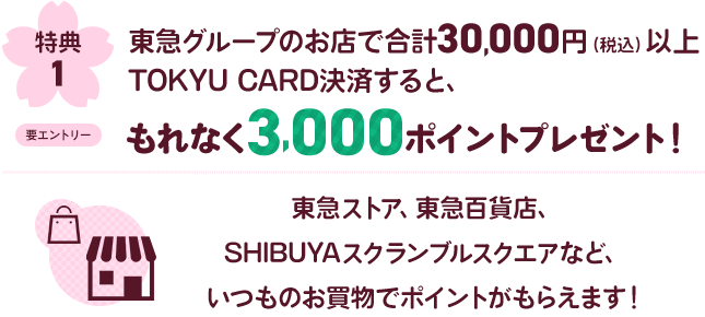 特典1東急グループのお店で合計30,000円(税込)以上TOKYU CARD決済すると、もれなく3,000ポイントプレゼント！東急ストア、東急百貨店、SHIBUYAスクランブルスクエアなど、いつものお買物でポイントがもらえます。