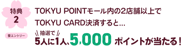 特典2TOKYU POINTモール内の2店舗以上でTOKYU CARD決済すると...抽選で5人に1人、5,000ポイントが当たる！
