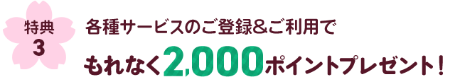 特典3各種サービスのご登録&ご利用でもれなく2,000ポイントプレゼント！