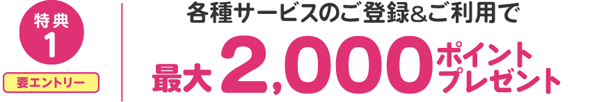 特典1 エントリー必須 各種サービスのご登録とご利用で最大2000ポイントプレゼント