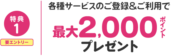 特典1 エントリー必須 各種サービスのご登録とご利用で最大2000ポイントプレゼント