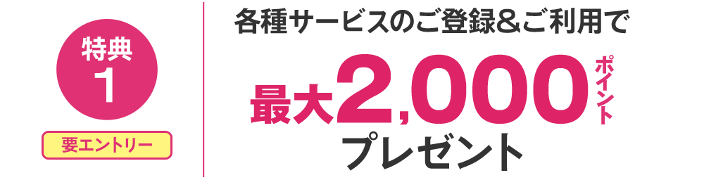 特典1 各種サービスのご登録＆ご利用で最大2000ポイントプレゼント
