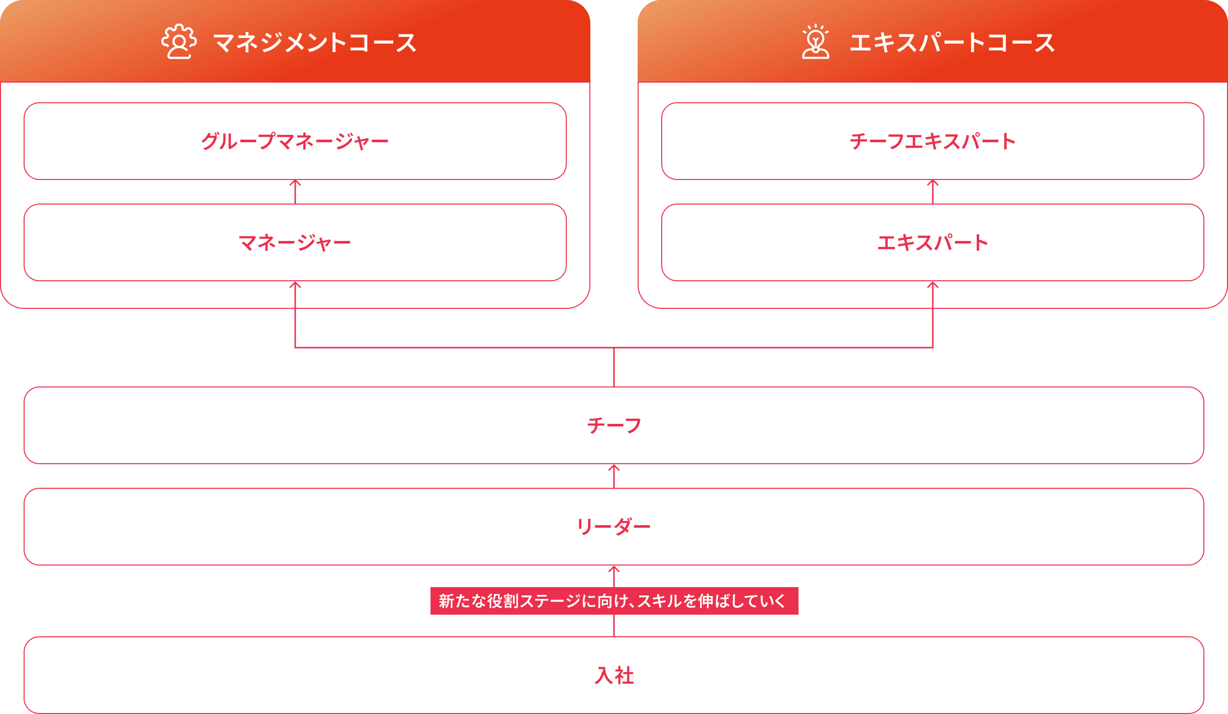 マネジメントコース / エキスパートコース