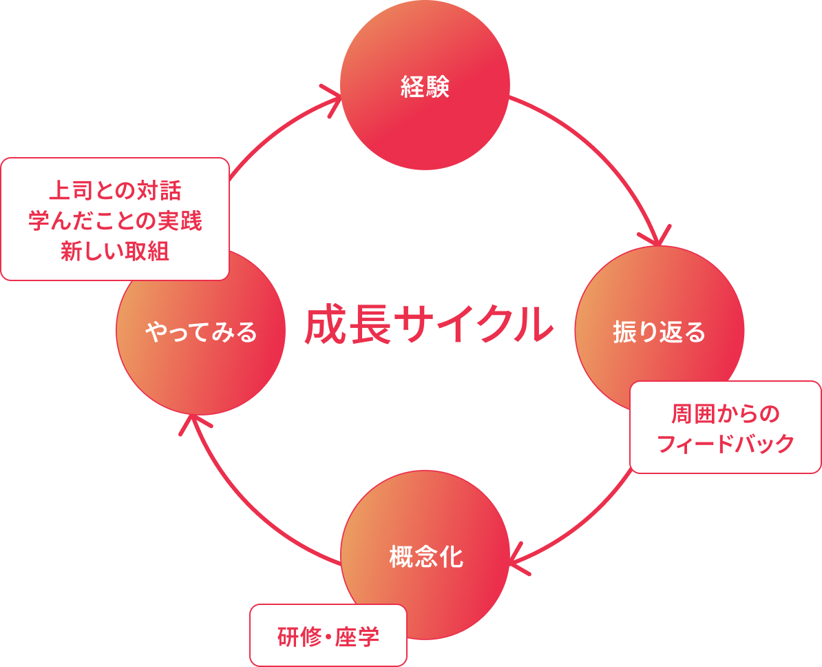 成長サイクル
