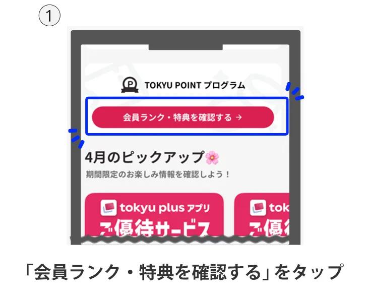 「会員ランク・特典を確認する」をタップ