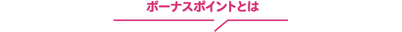 ボーナスポイントとは