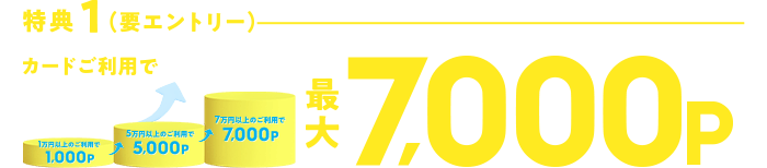 特典1(要エントリー)カードご利用で最大7,000ポイント