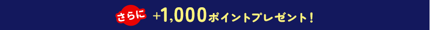 さらに+1,000ポイントプレゼント!