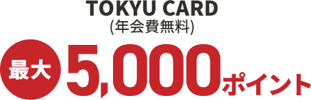 最大5,000ポイント