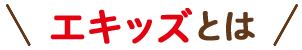 エキッズとは