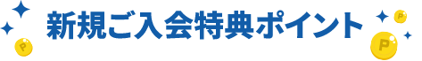 新規ご入会特典ポイント