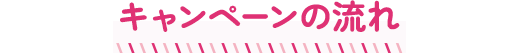 キャンペーンの流れ
