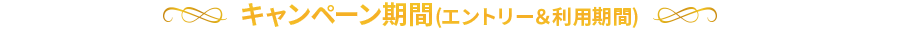 キャンペーン期間(エントリー＆利用期間)