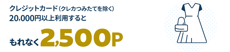 クレジットカード(クレカつみたてを除く)20,000円以上利用すると…もれなく2,500P