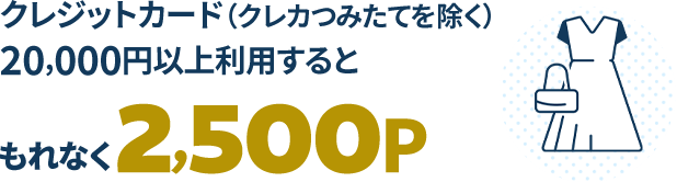 クレジットカード(クレカつみたてを除く)20,000円以上利用すると…もれなく2,500P