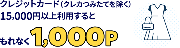 クレジットカード(クレカつみたてを除く)20,000円以上利用すると…もれなく500P