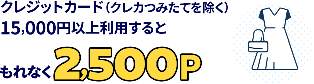 クレジットカード(クレカつみたてを除く)20,000円以上利用すると…もれなく2,500P