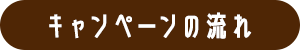 キャンペーンの流れ