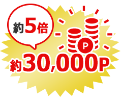 約6倍 約30,000P以上