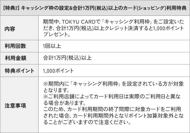 特典2キャッシング枠の設定&合計1万円以上のカードショッピング利用特典